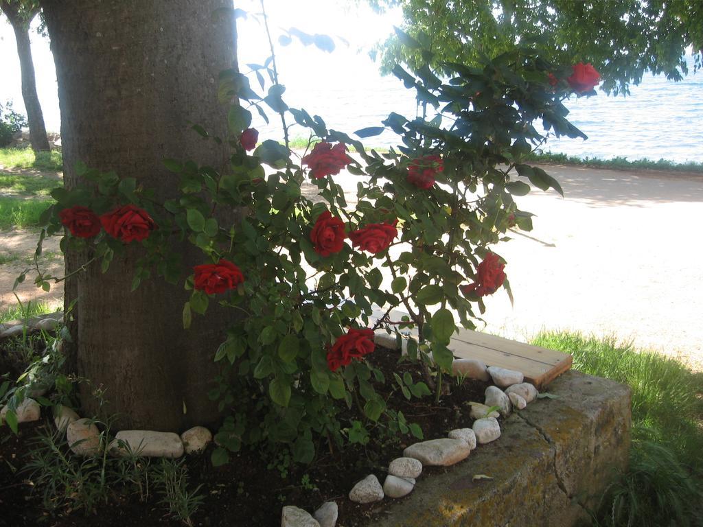 Apartment Baladur Umag Zewnętrze zdjęcie